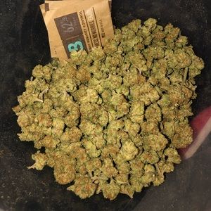 Meet your Posher, Jahmil